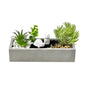 MACETA CEMENTO BLANCA CON PLANTA TORTUGA Y GATO VERSA 2026 JUNIO