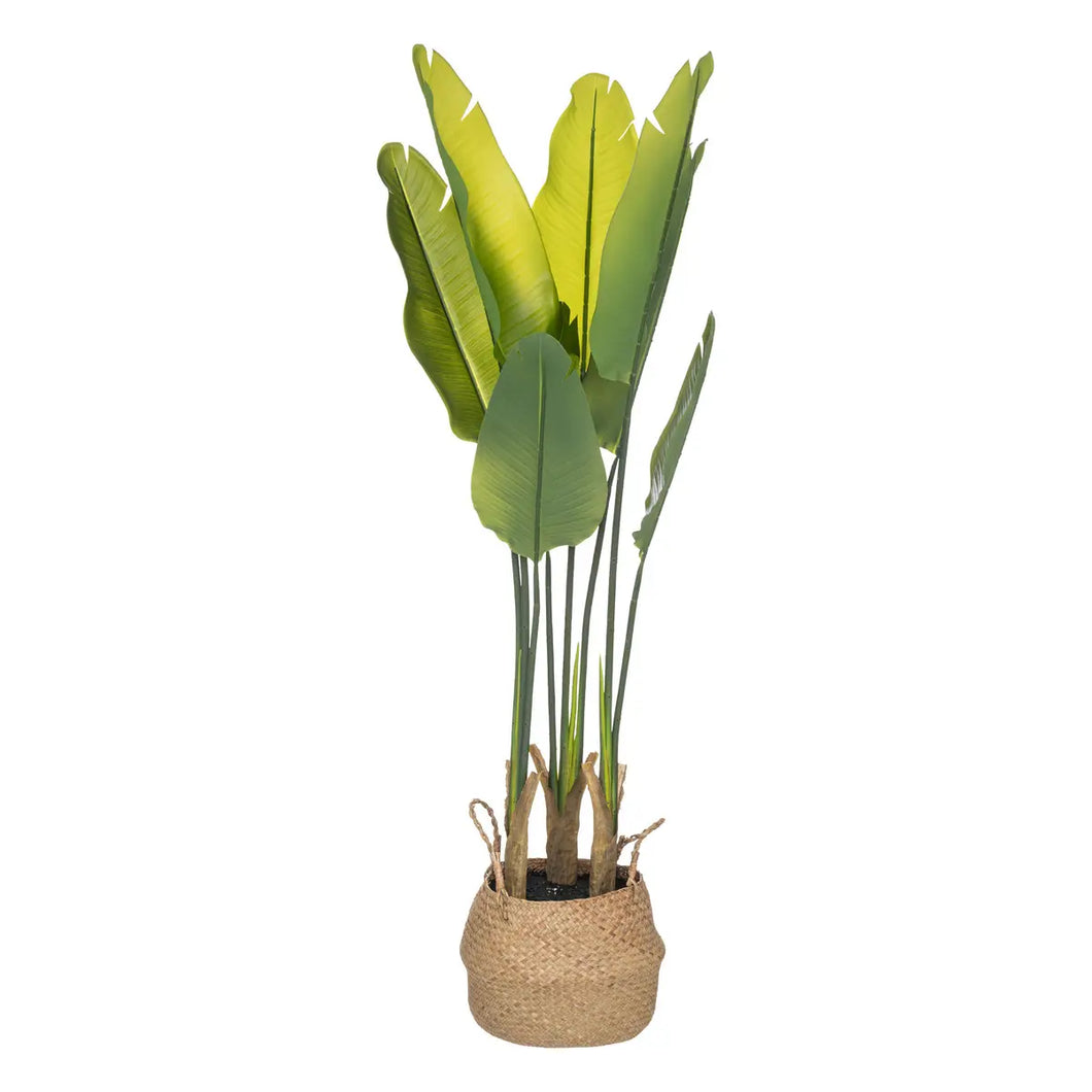 Planta palmera artificial strelitzia che atm bl