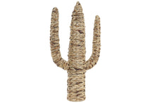 Cargar imagen en el visor de la galería, CACTUS NATURAL 39 X 75 che admosfera febrero